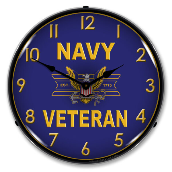 Alternative view of Navy Veteran