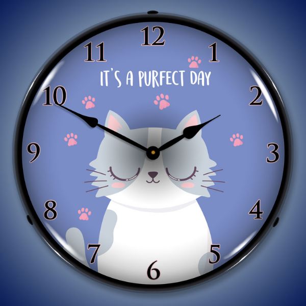 Purrfect Day
