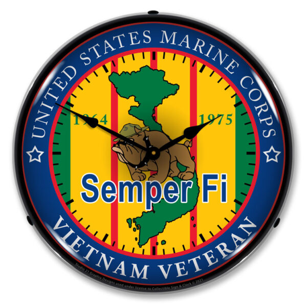Alternative view of Marine Vietnam Veteran