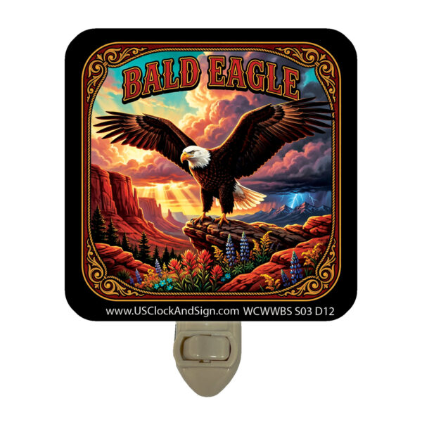 Alternative view of Bald Eagle