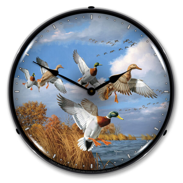 Alternative view of Mallards